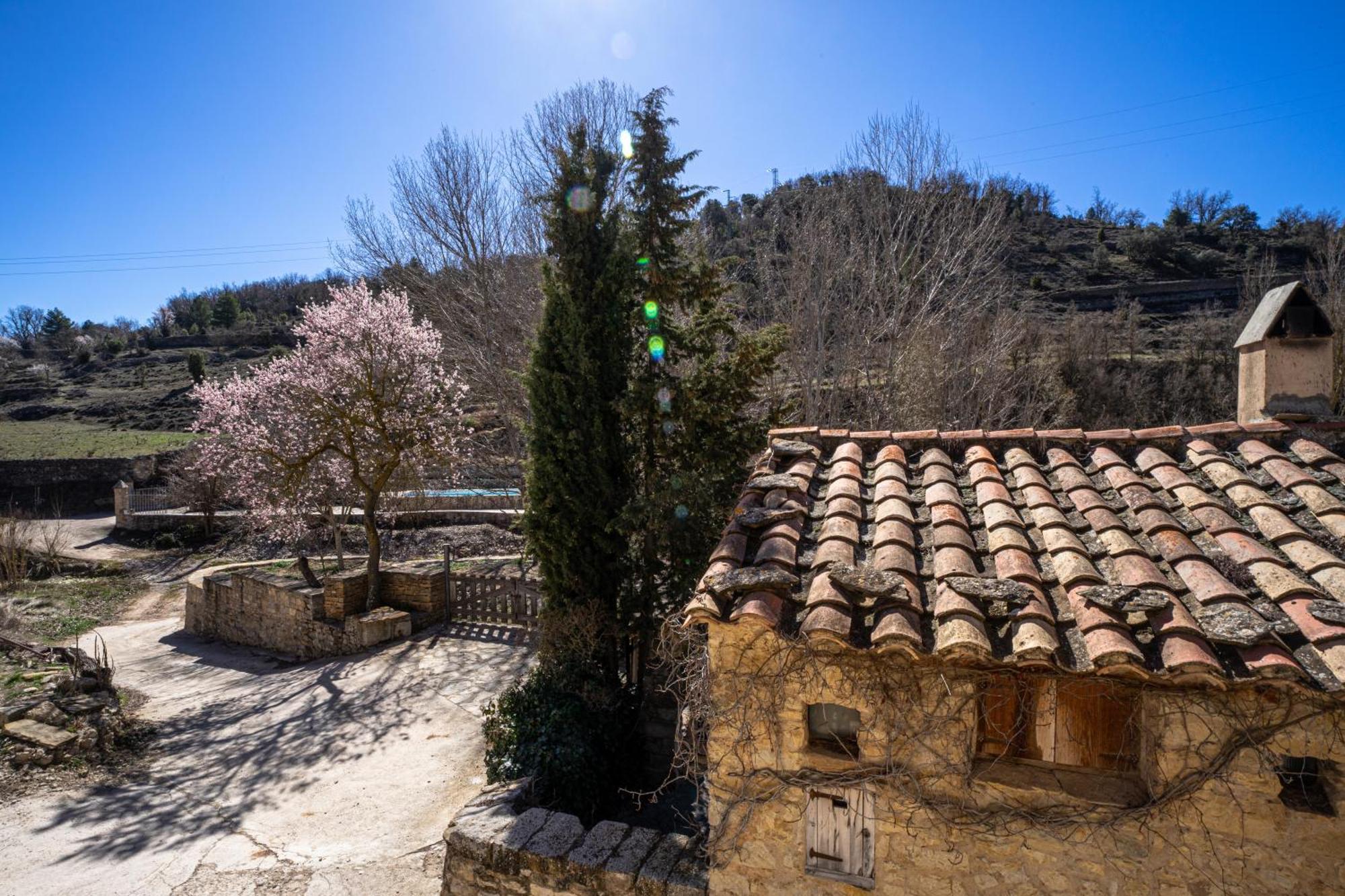 Casa Enduella ξενώνας Μορέλια Εξωτερικό φωτογραφία